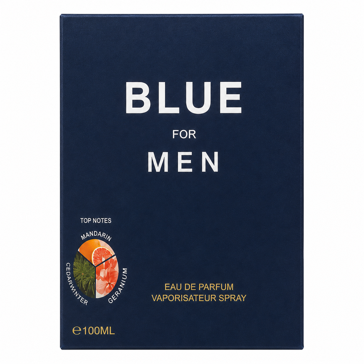 Blue for Men 100ml (3.4 fl oz)